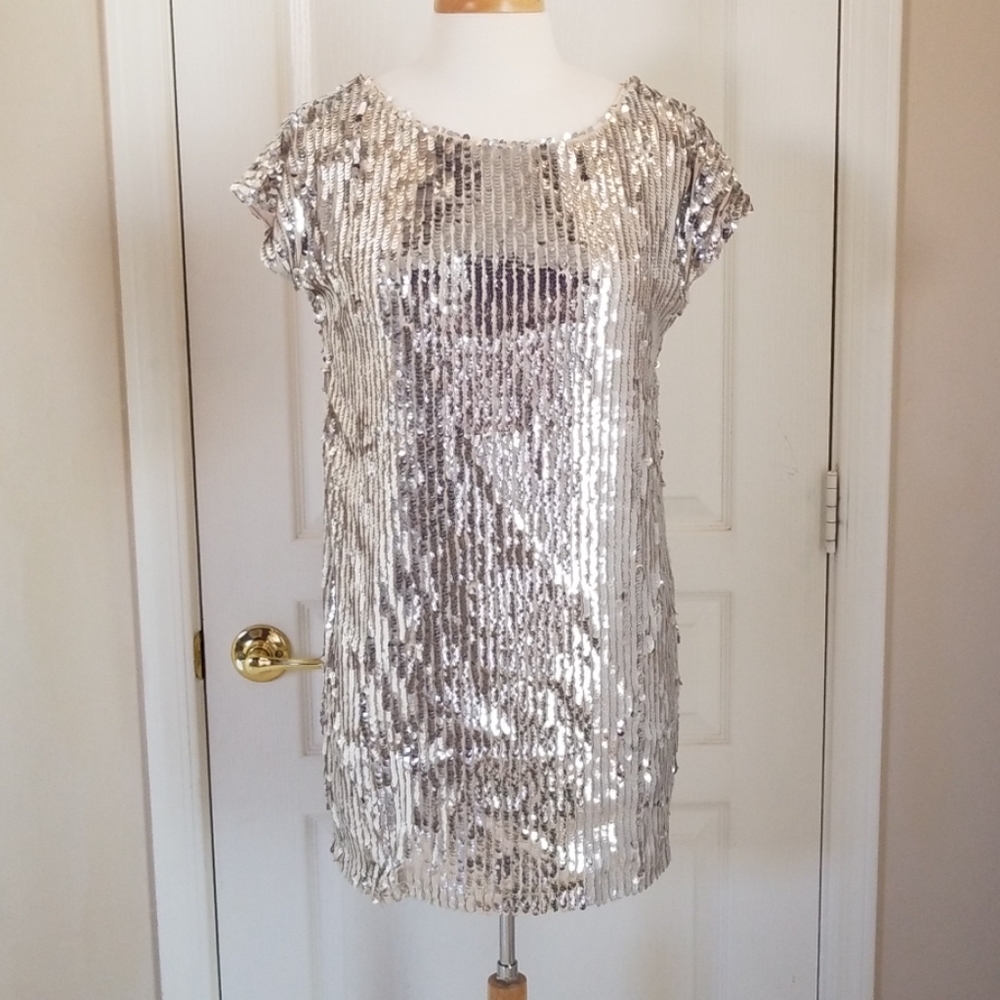 Silver Sequin Dress